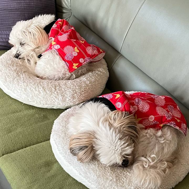 093d862f 5f6d 4a28 a929 cce61e06b521 1733225112413