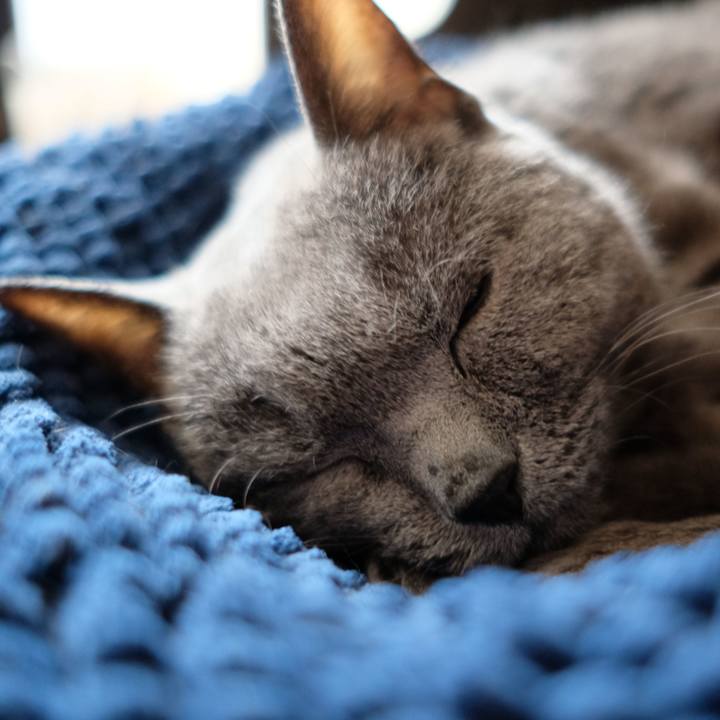 093d8cf9 7f70 4e58 95c8 0f813e9d1112 1685354110661