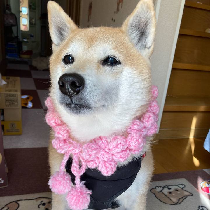 093da882 a2cc 457b a225 a39c2bc8d579 1612959107780