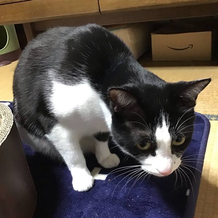 093db22d 20e1 438e b3a2 a9d4067ad905 1711535195366