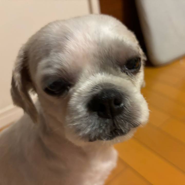 093ddf1a 31b1 48c2 aaa9 3923ec2b74a5 1756244516716