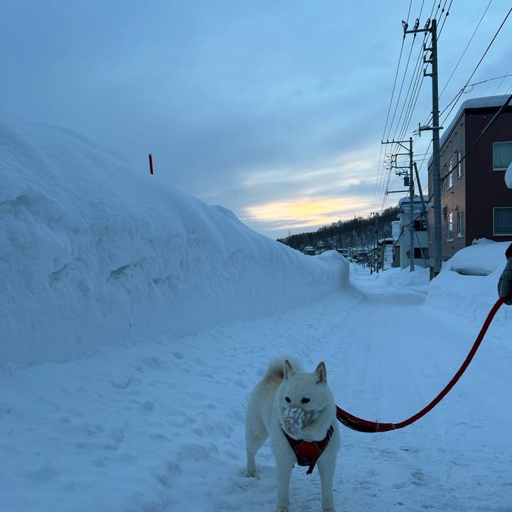 093e2d5b edad 42f6 bc70 054d63e2a73f 1769991201815