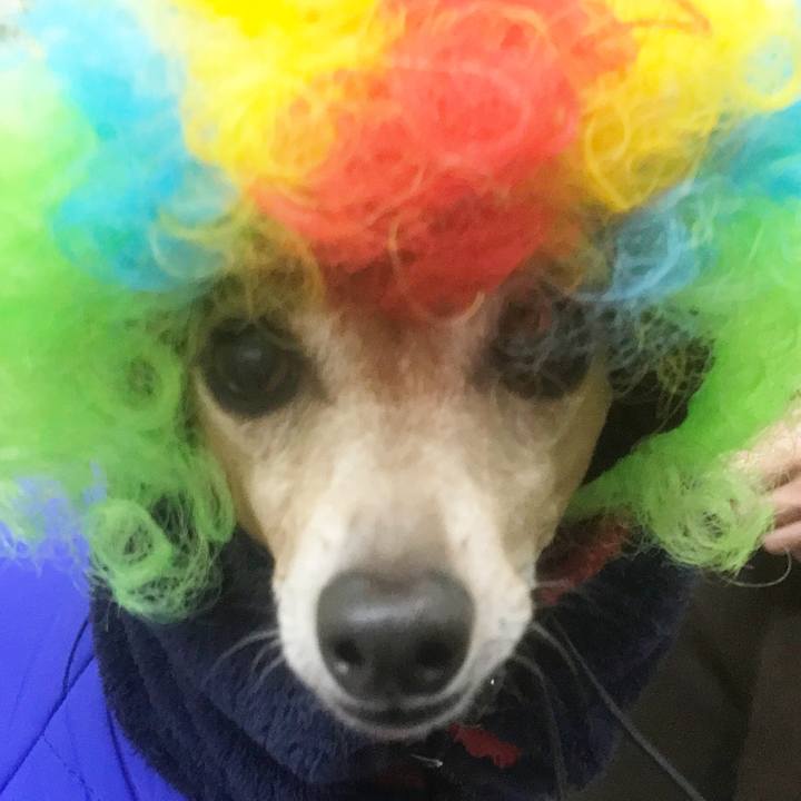 093e36fa 31b9 41ae b597 b556cf474422 1518439329033