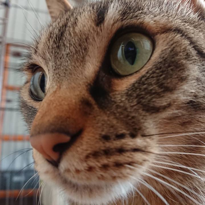 093e45ad 7a36 4328 8a42 48b86935c2ef 1555112380570