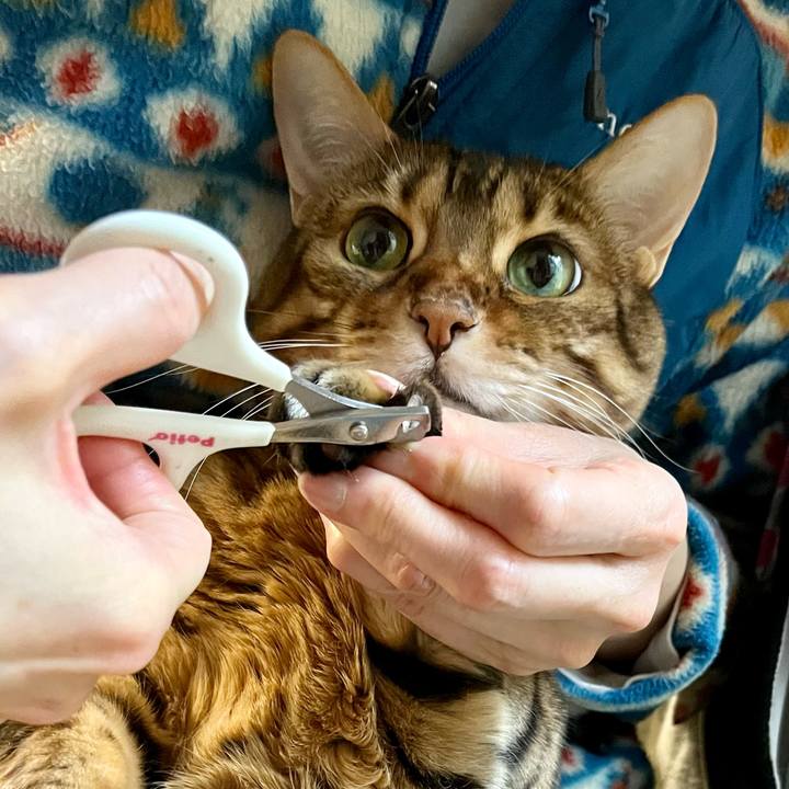 093e4acd 7688 4ad9 8c47 460d7fb3822e 1650027707970