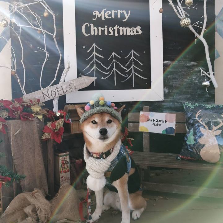 093e525d 20e8 4261 840c f27f8cb2bf18 1669605075939