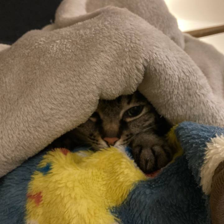 093e5e00 51c8 4f93 8a8b bc12ce1f5139 1644238261748