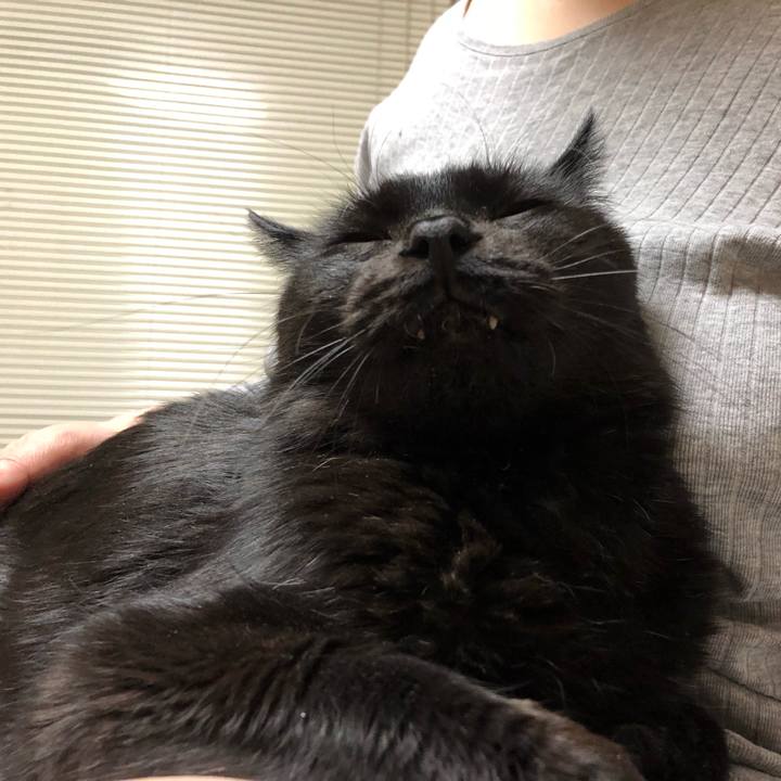 093e96eb 0576 4613 a36d 9c01f1cf6da2 1586785466991