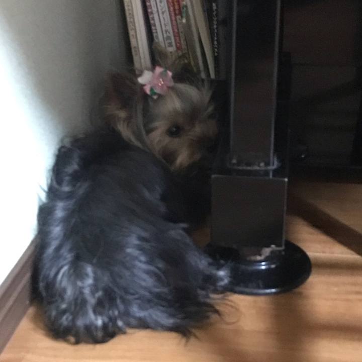 093e9e06 0844 4469 b7cc 8ef8c5db7817 1658662783660