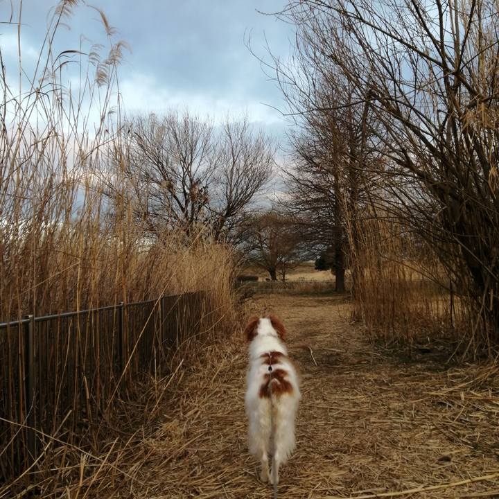 093ea2ef 26f7 4e78 bbb7 7db243bb3467 1612309913974