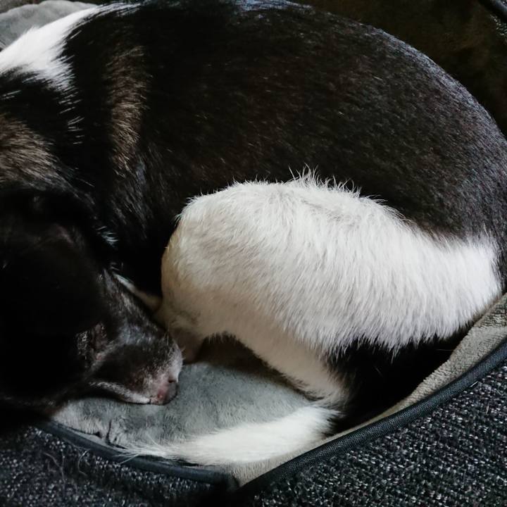 093ead8e 6550 469b bbb9 ea1b700a0779 1544967764266