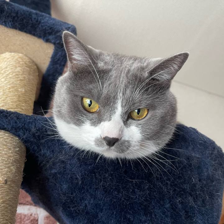 093ecaa0 0f09 4a59 9c82 d97676765306 1659405720362