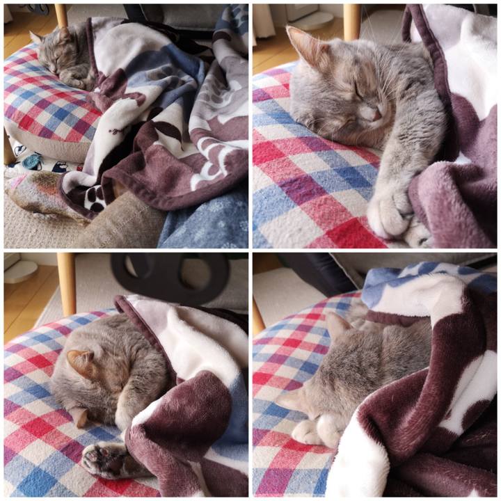 093ed657 c53e 486c 8855 342620514f63 1571041301951