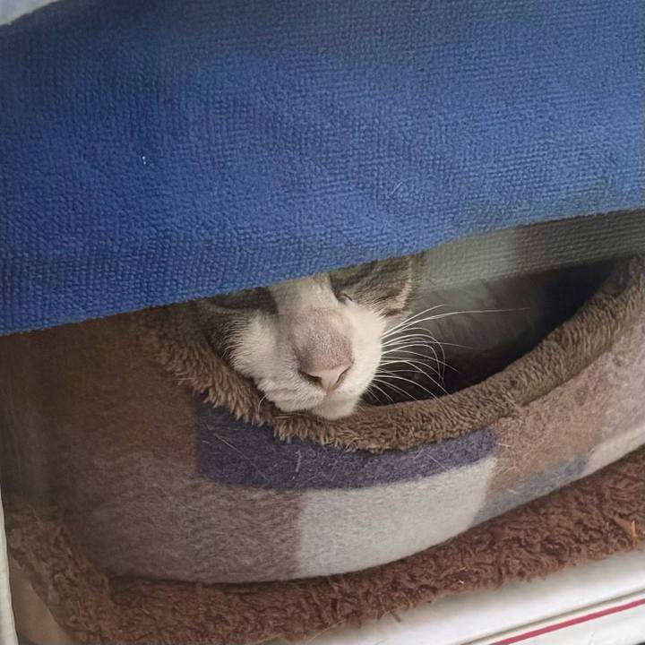 093ef11d 3425 4bc0 8b77 c62550351a27 1765508864921