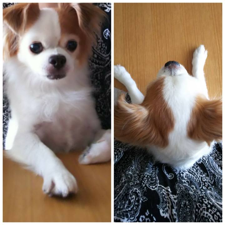 093f0707 7cfc 41cc aa31 171ded93dd3f 1537148124442