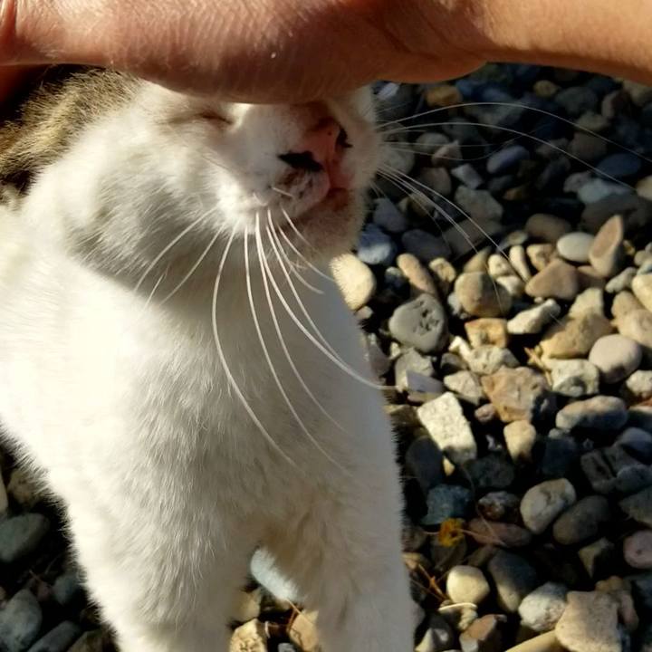 093f7617 91f4 4f29 b729 65797f59e79c 1685187634452