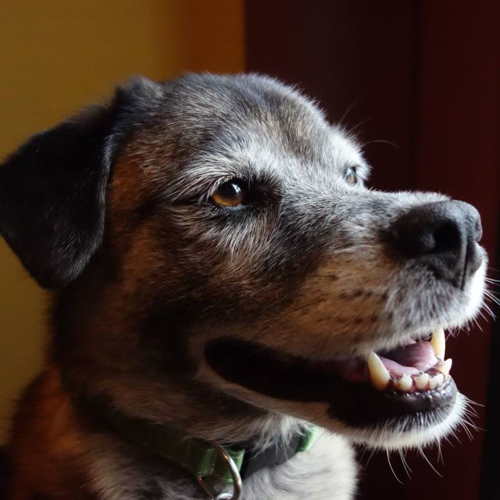 093f8f16 2029 4585 a296 77e0915472d9 1644632089409