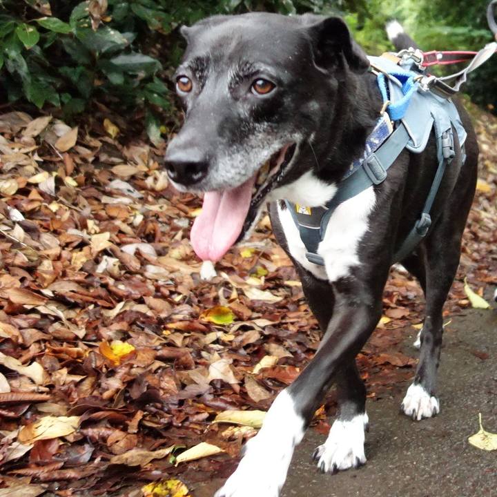 093fa1be baf9 4ee6 893a b6b34813e1a8 1726961992306