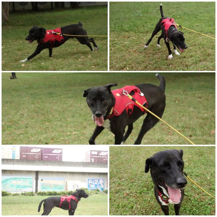 093fd9fb 44dc 445f 83f6 376ae237c06e 1602027854483