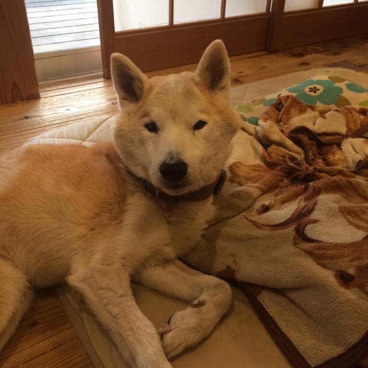 0940714a 9d63 4d11 a41b ec8cd6089156 1579074425882