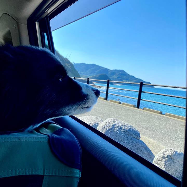 094142ad 989e 4dee 9621 356f015cf55d 1635654939535