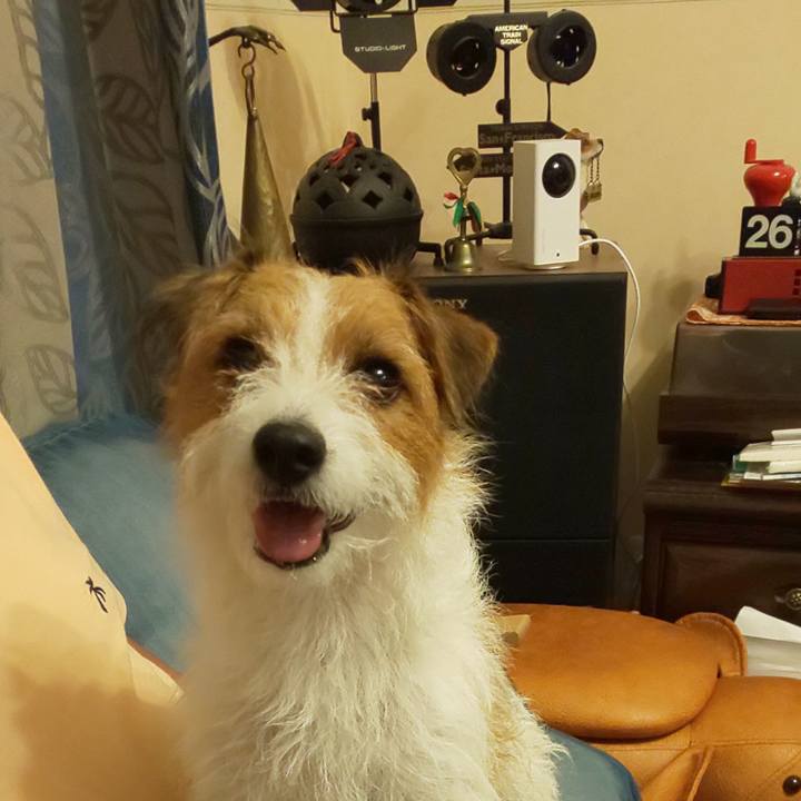 094178ca bcdb 41c9 af66 4b8569636fd2 1598357288421