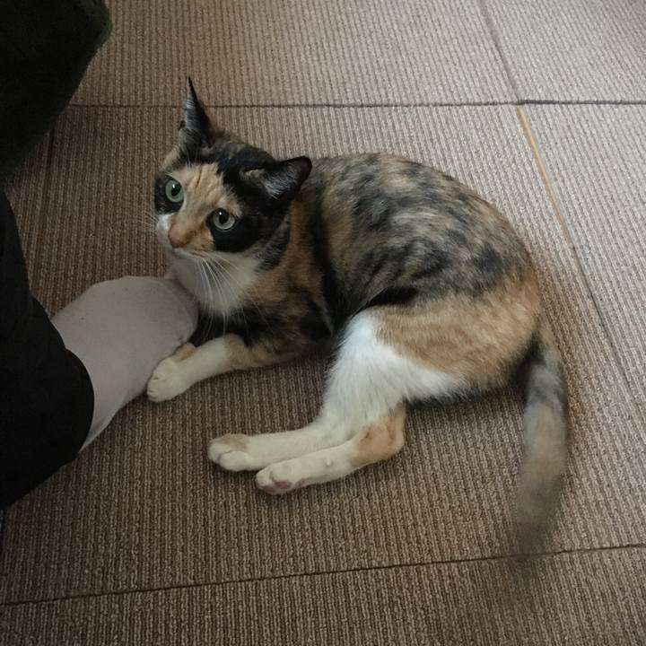 09419301 d894 45cf ba55 d4cfbd26bbdc 1509972669541