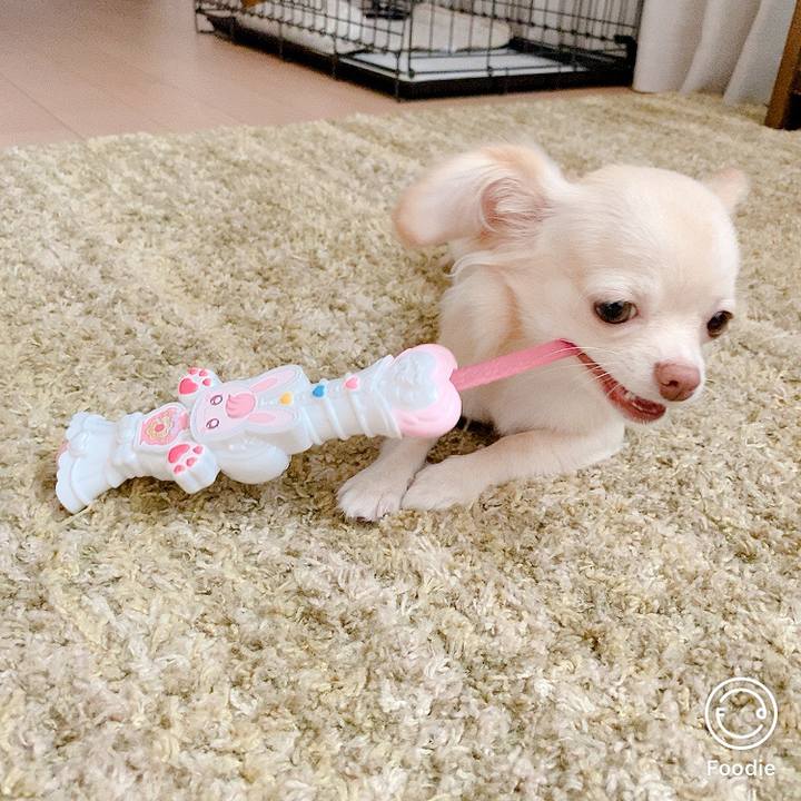 09419440 7673 474b a82b 9378c67ab910 1600834938414