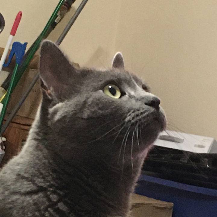 0941b07e fc19 4896 a146 22b6e9a85fdb 1631844060332