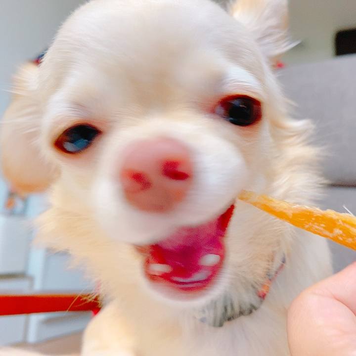 0941b203 d0c9 47cd 8037 68c8b38c31d2 1633336696368