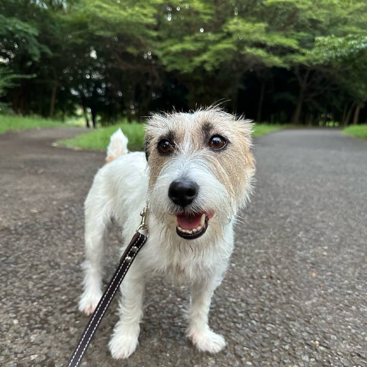 09421482 92e6 4507 8908 5b3d36a07c4b 1722475454988