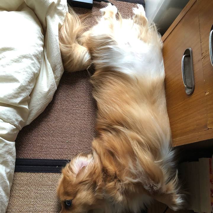 09421c6c a047 4dae 9de3 5829ba2f21da 1560115505454