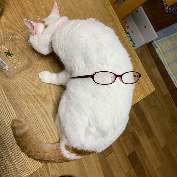 09423abf 8f0c 4aad 920b 43d29edb8d04 1593088183026