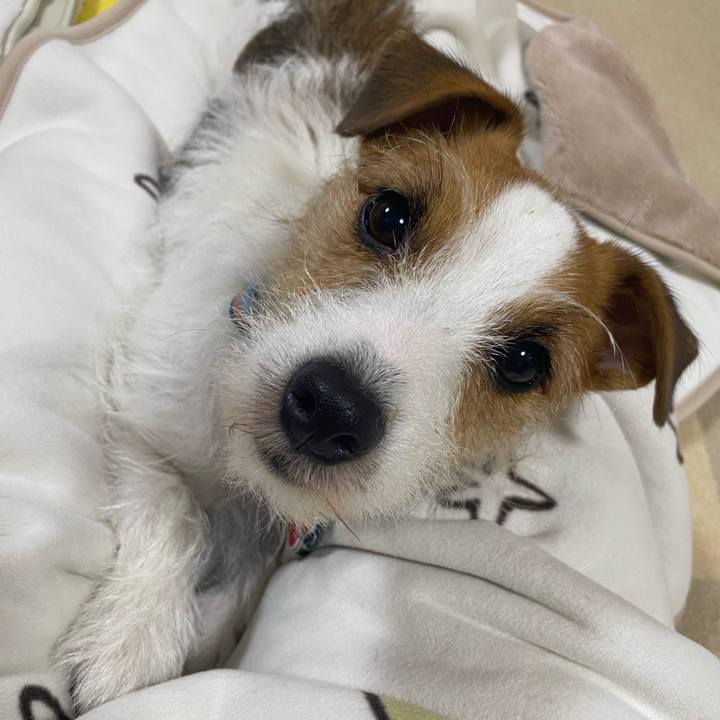 094258ee fb74 4222 b753 684a38d0c30a 1699880785343