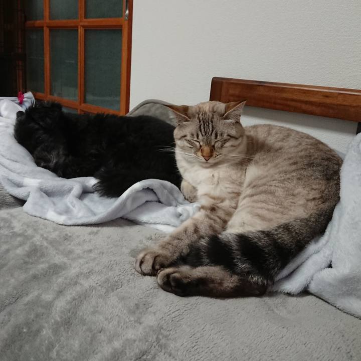 09425b6a 66e0 48c5 9463 23ab686d28cb 1571664646101