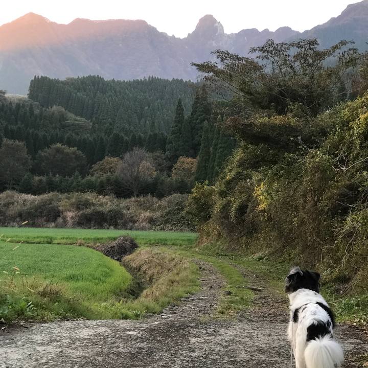 09425c22 e00c 4cb7 b3eb 0808f4f366a6 1540473730579