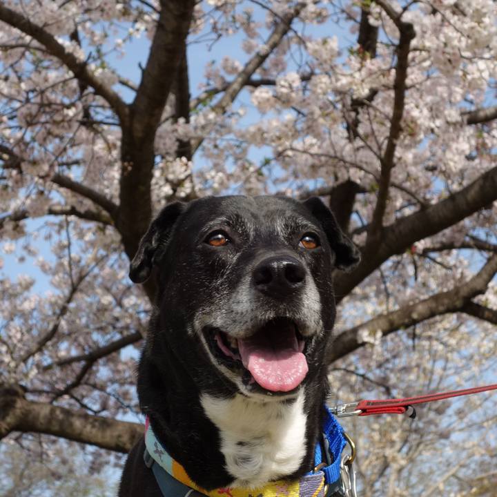 0942aa4d 1eea 4294 beb3 84823d81fa92 1744073786199