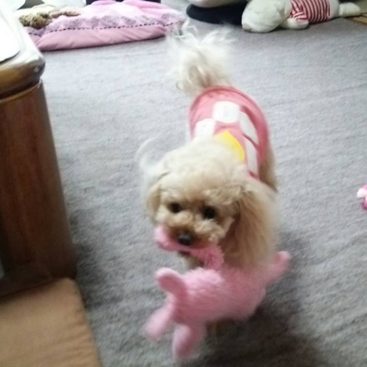 0942cbd5 ee1b 41ee bea9 5b32427357b8 1528286905913