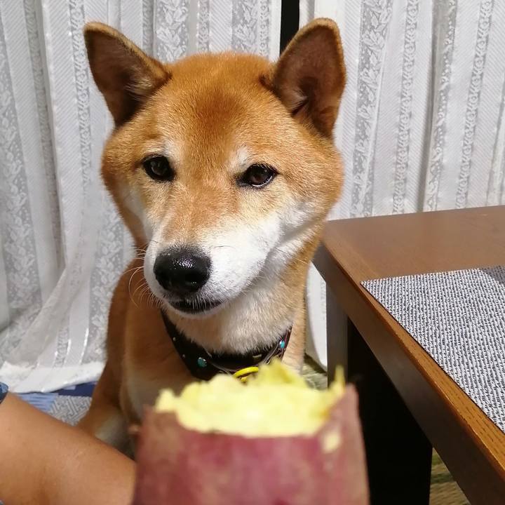 0942e321 95da 4ba3 87e8 800e266602da 1631356722049