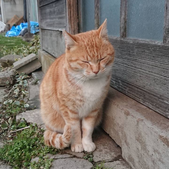 094303e8 f964 4a84 88ac 6f1f138a5db3 1584521157683