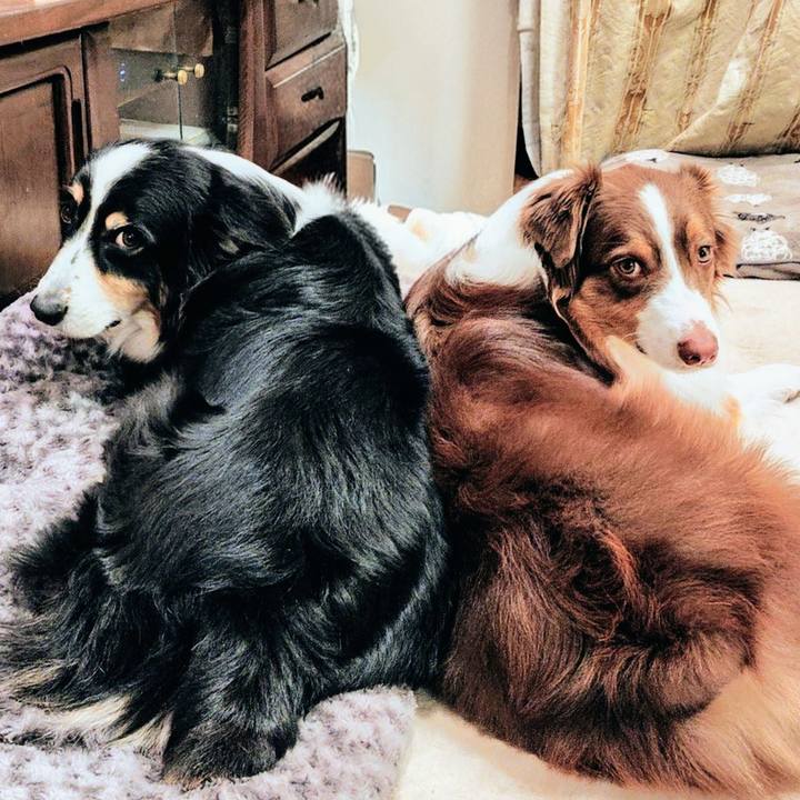 09433af3 bd15 443e a086 e3469988e2b3 1770463173349