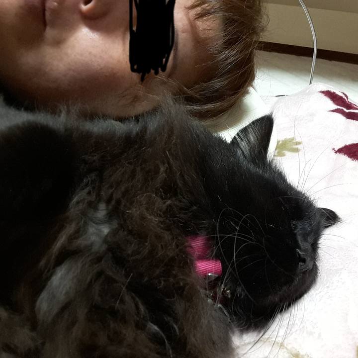 09435df0 1321 4776 8745 1c020e6cb1ca 1521897403453