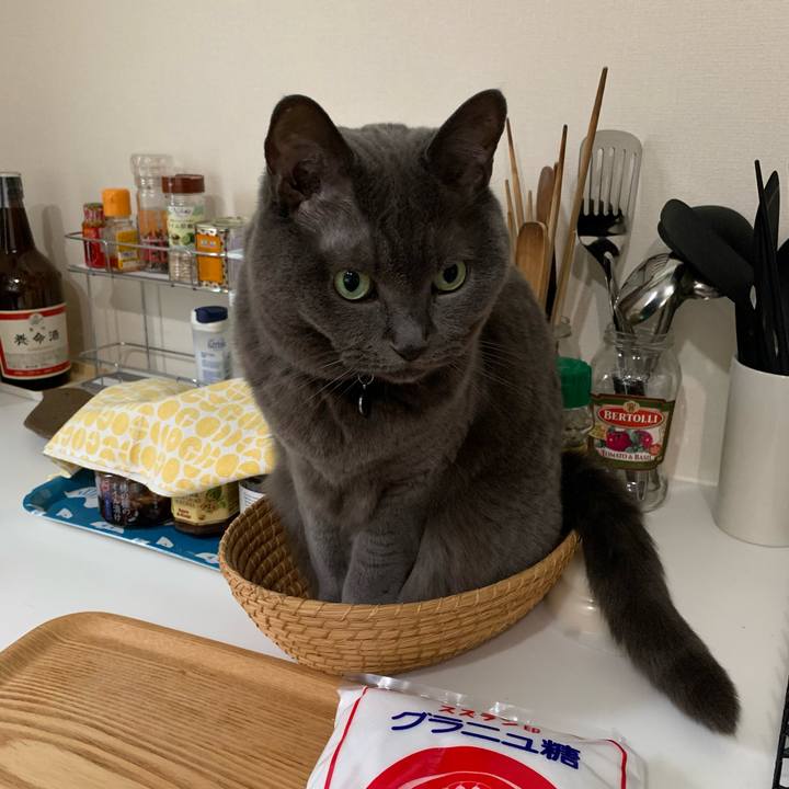 094394e5 6fb7 4443 9f0a d7161afdec06 1744584219408