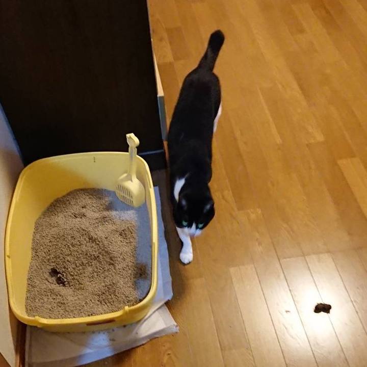 0943ce25 05df 4d15 b2da be2e53bb389c 1650672756537