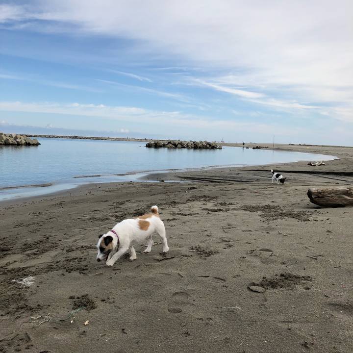 0943f875 354b 4874 a854 d58af079fd6a 1535845625193