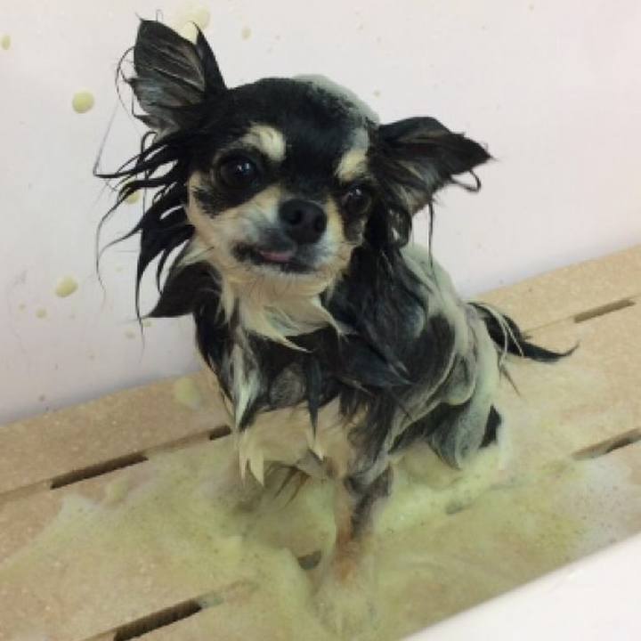 094407af c44a 48b9 b561 179e32041de8 1590805121742