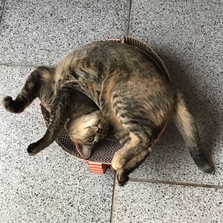 094407ff 7f8f 48a8 8577 d110b809a0ae 1596874556320