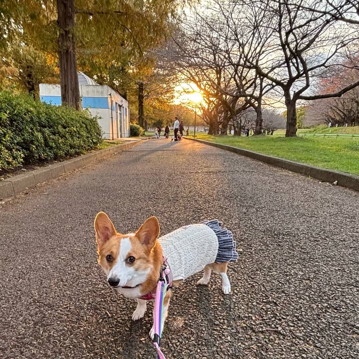 09440da2 38f8 4cc4 b061 81113a01c2e6 1763296869623