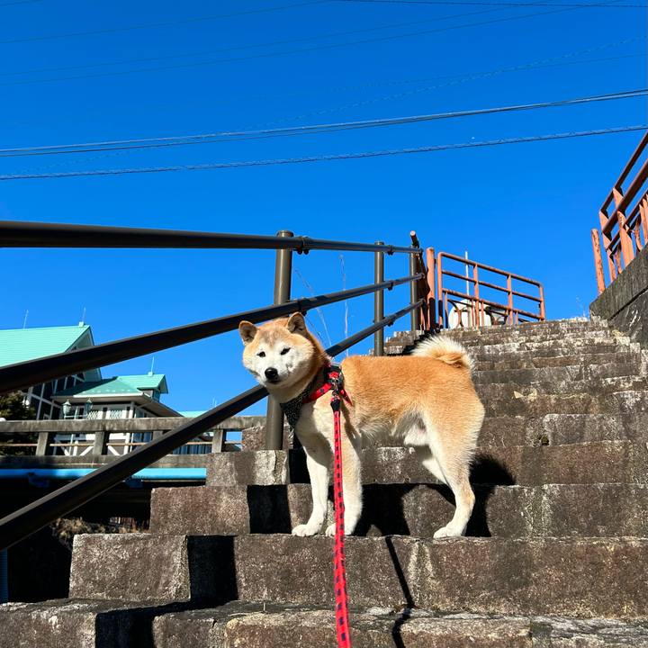 09442abf 6dad 46c4 b80b cace1c08f21a 1737111378920