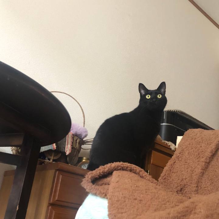 09445019 3fcd 4b34 9a90 69846f503417 1550273529253